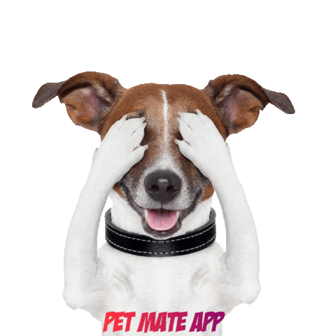petmate Sticker