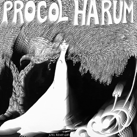 Procol Harum Prog Rock GIF by joelremygif