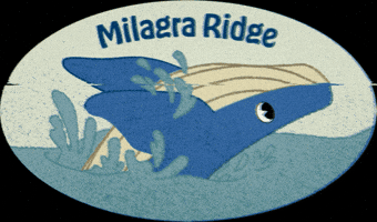 Whale GIF by Parks Conservancy