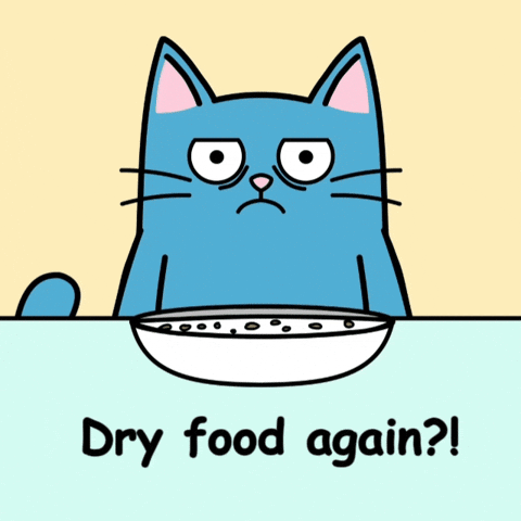 Blue Cat Nopecat GIF