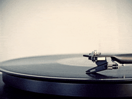 Jeremy Berman Findlay Ohio GIF