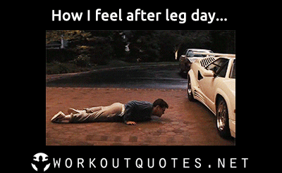 Legs Day Gifs Get The Best Gif On Giphy