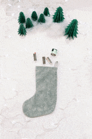 Happy Holidays Clean Beauty GIF by Beauty by Earth
