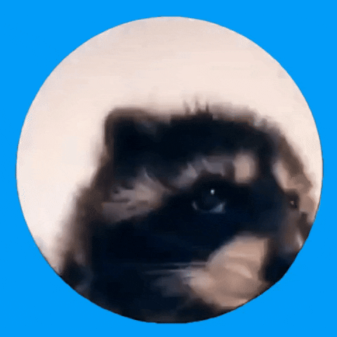 Giphy - Happy My Song GIF by Justin