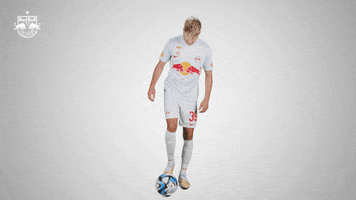 Football Sport GIF by FC Red Bull Salzburg