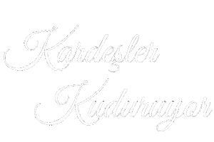 Abi Aile Sticker