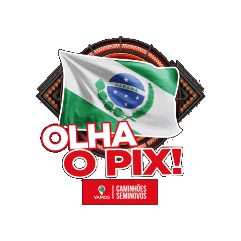 Pix Sticker by Vamos Seminovos