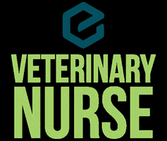 Nurse Veg GIF by Ethos Vet Health