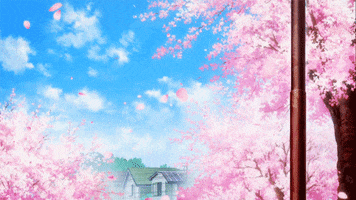 cherry blossom pink GIF