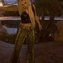 giphy.gif