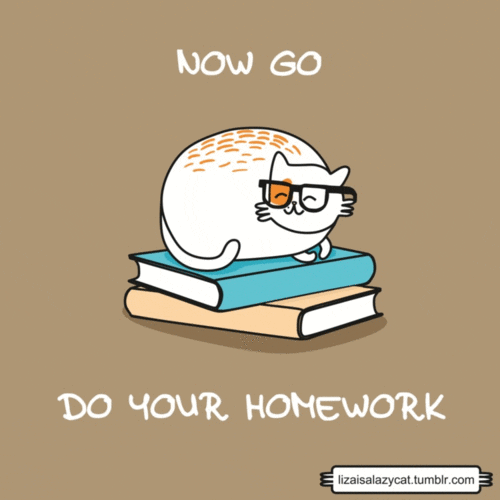get your homework done gif