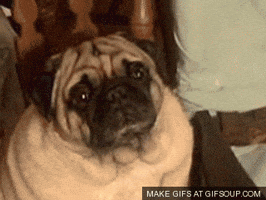 200.gif
