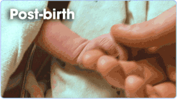 baby birth GIF