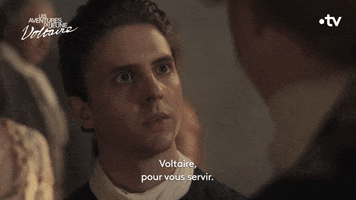 Tv Show Serie GIF by France tv