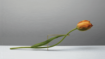 Time Lapse Film GIF by AnOther