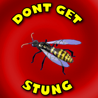 Sting Wasp GIF