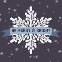 merry christmas happy holidays GIF by evite