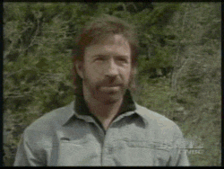 Chuck Norris GIF - Find & Share on GIPHY