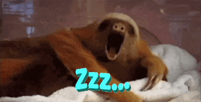 Wildlife gif. A brown sloth yawns as his head drops down near a white blanket. Sleepy text reads, "zzz..."