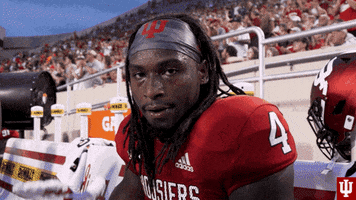Football Clap GIF by Indiana Hoosiers
