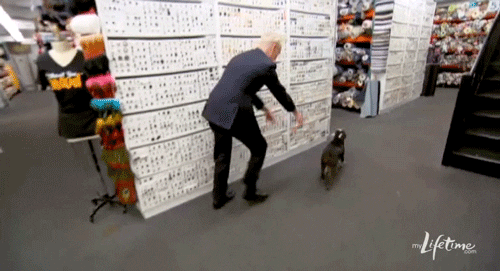 tim gunn