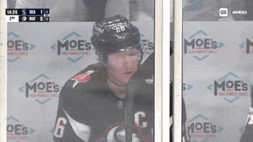 Buffalo Sabres Hockey GIF