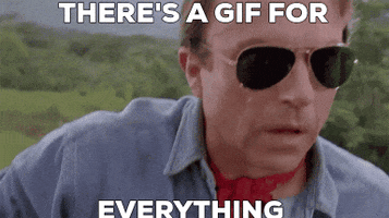 Everything GIF