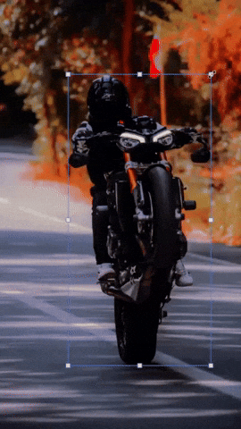 Onlyriders GIF