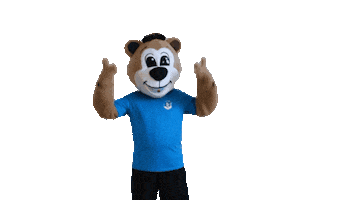 Swipe Up Sticker by Sportclub Riesa