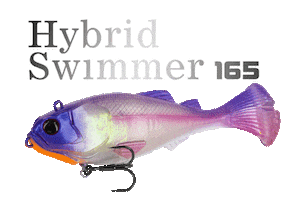 Hybridswimmer Sticker by molix