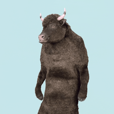 https://media1.giphy.com/media/AmRBGkss5kBCcney1T/giphy.gif?cid=28f76e61awain6079binpach0rdyhp62jfhe4uvdzghdm9nu&rid=giphy.gif&ct=g
