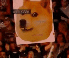 doge GIF
