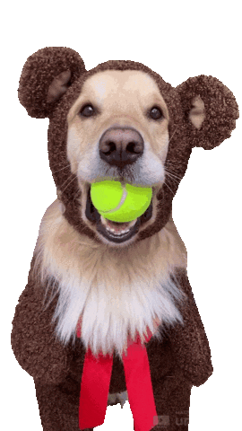 Golden Retriever Dog Sticker