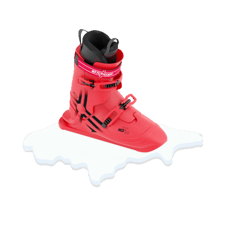 Tomsen Sports Sticker