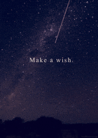 make a wish life GIF