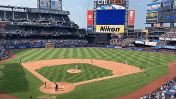 Citi Field Lets Go Mets GIF by The 7 Line