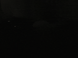 Opium GIF by Destroy Lonely