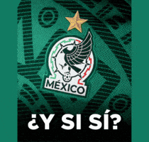 World Cup Mexico GIF