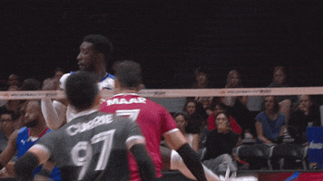 Passion Smile GIF by Volleyball World
