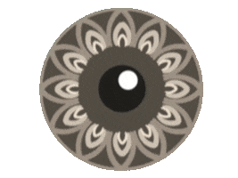 Iris Foto Schweiz Sticker