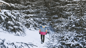 Best Friend Winter GIF by Ultra Records