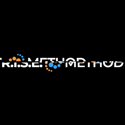 RISE Method GIF