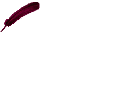 Paula Brookes Sticker by Timeless Aesthetics