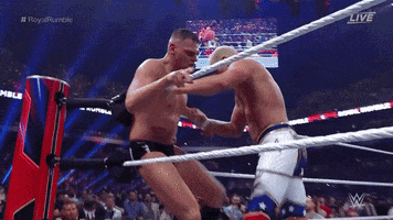 Wwe GIF