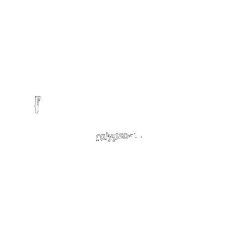Calypso Polska Sticker