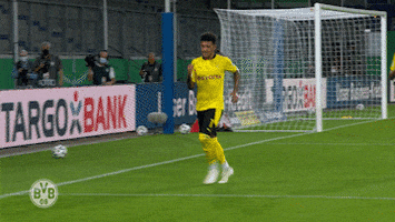 Borussia Dortmund Yes GIF