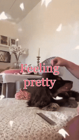 Feeling Pretty You Are Beautiful GIF