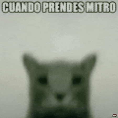 Weko GIF