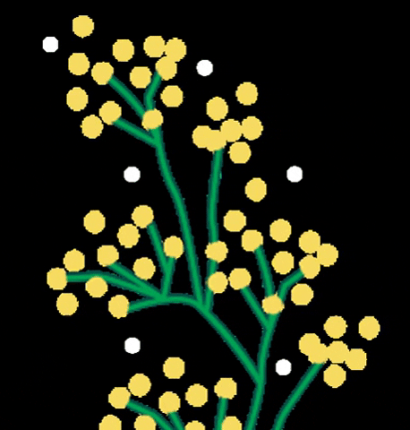 The Body Shop Ph GIF