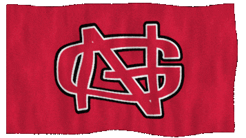Athletics Crusader GIF by North Greenville University